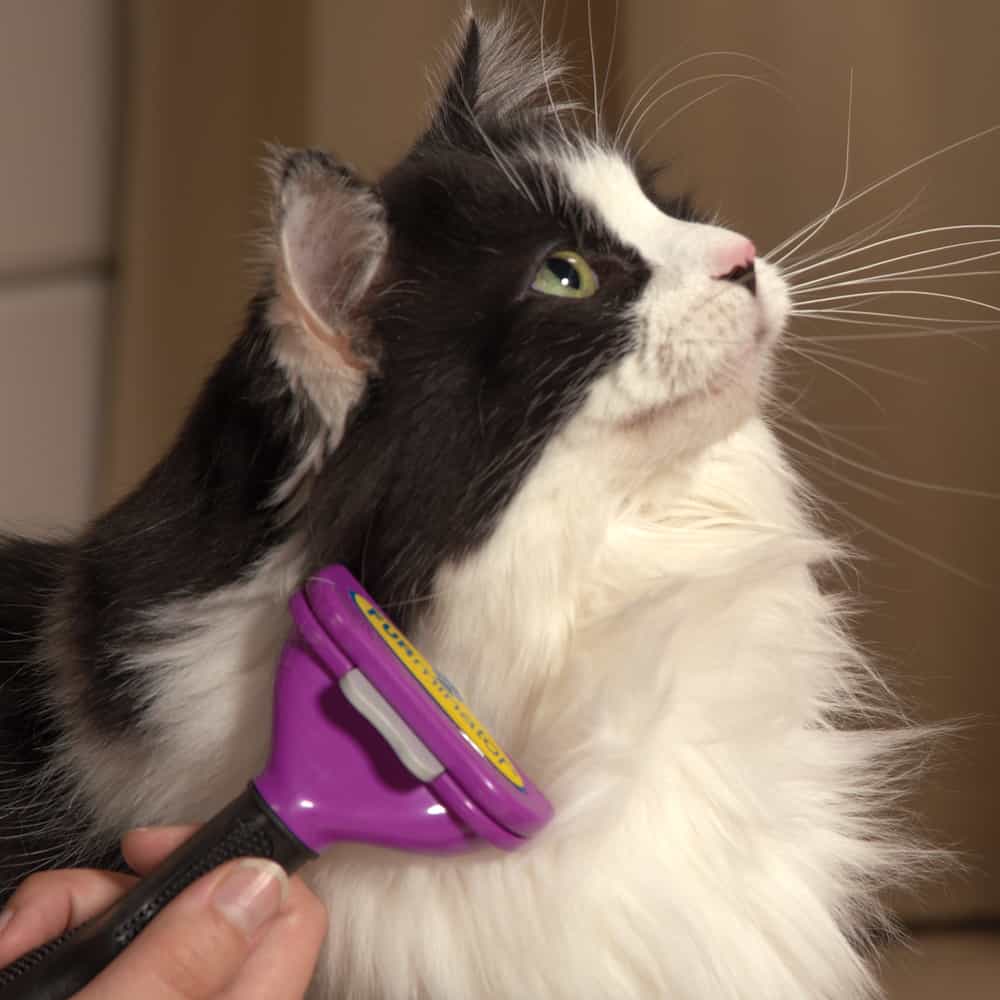9B 74116 FS56311N 188 cat