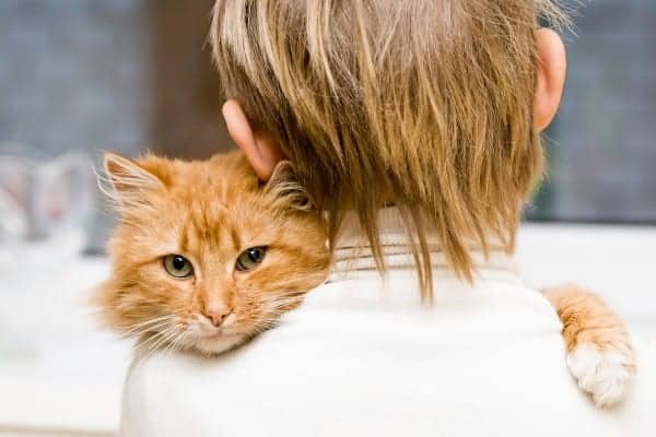 kedi sahibi olmak e1427914816620