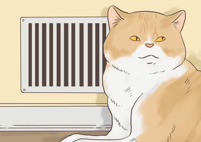 670px-Find-a-Lost-Cat-Step-13-Version-2