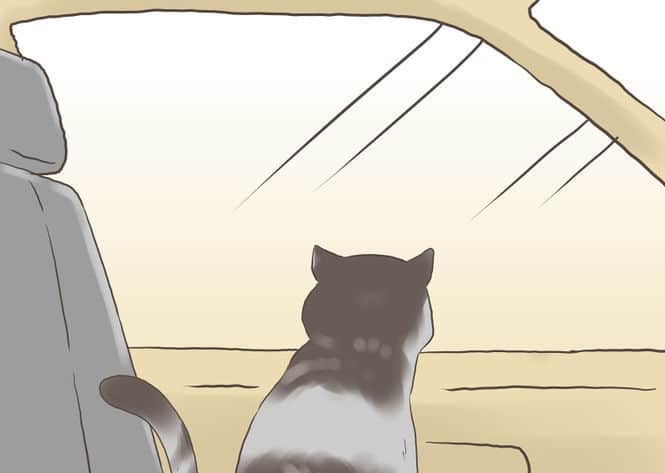 670px-Find-a-Lost-Cat-Step-15-Version-2