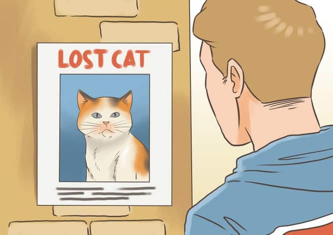 670px-Find-a-Lost-Cat-Step-17-Version-2