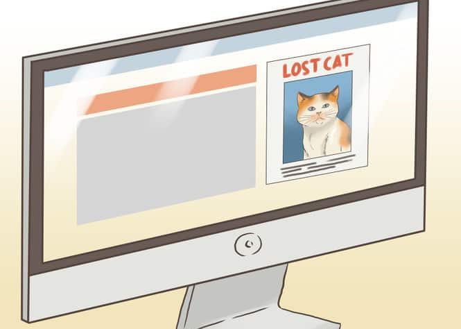 670px-Find-a-Lost-Cat-Step-19-Version-2