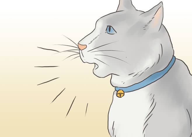 670px-Find-a-Lost-Cat-Step-4-Version-2