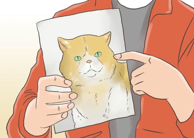 670px-Find-a-Lost-Cat-Step-8-Version-2