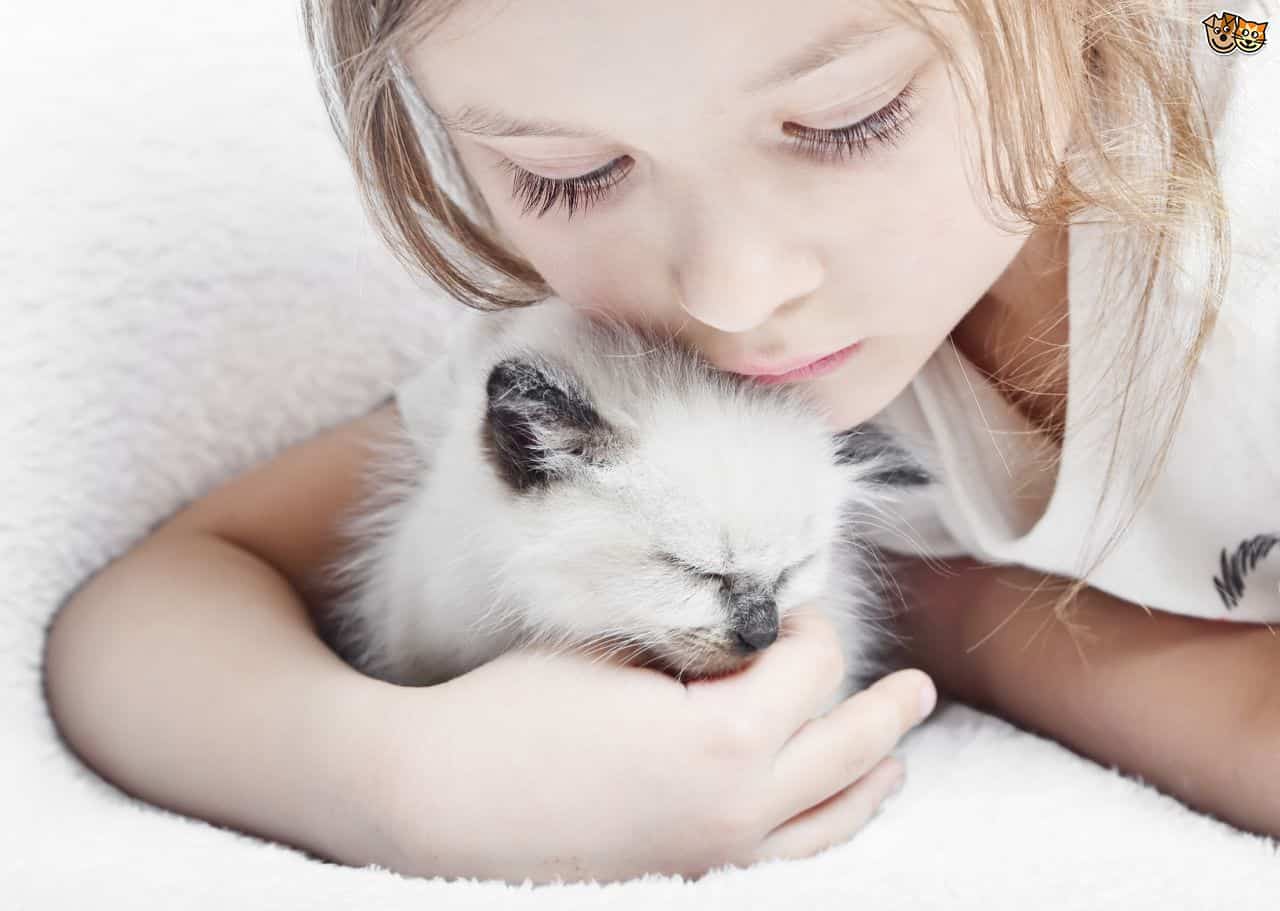 ocuk kedi sahiplenme